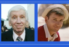 Bob Denver Net Worth, Age, Wife & Family